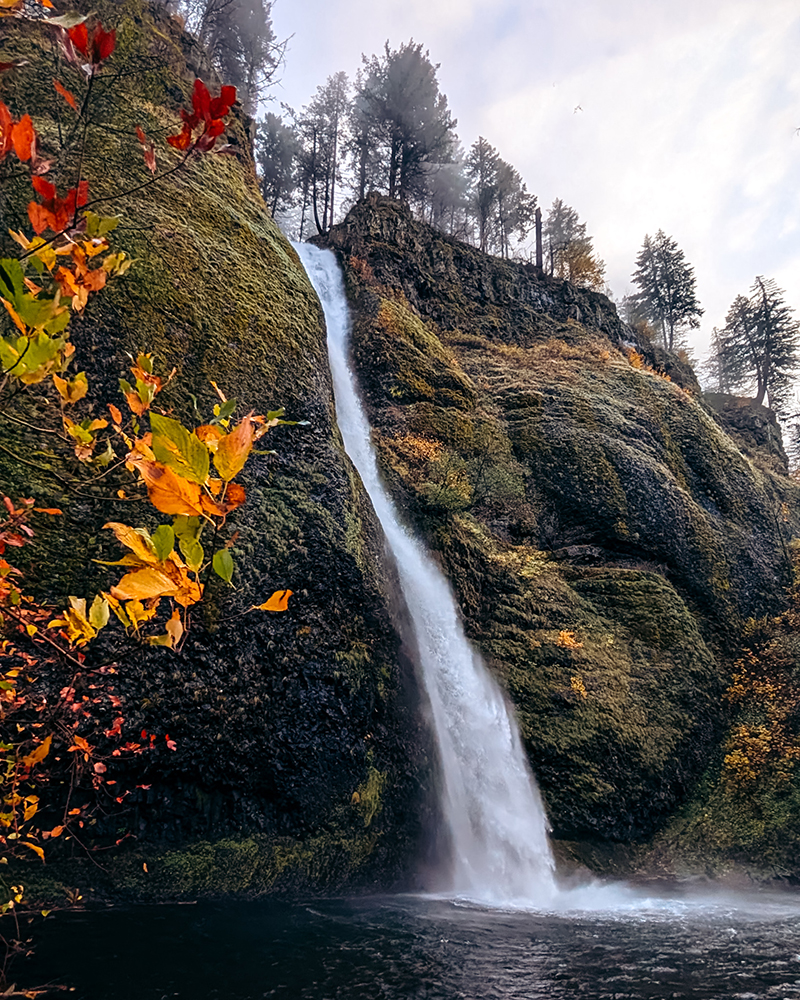 Horsetail Falls along the Historic Columbia River Highway