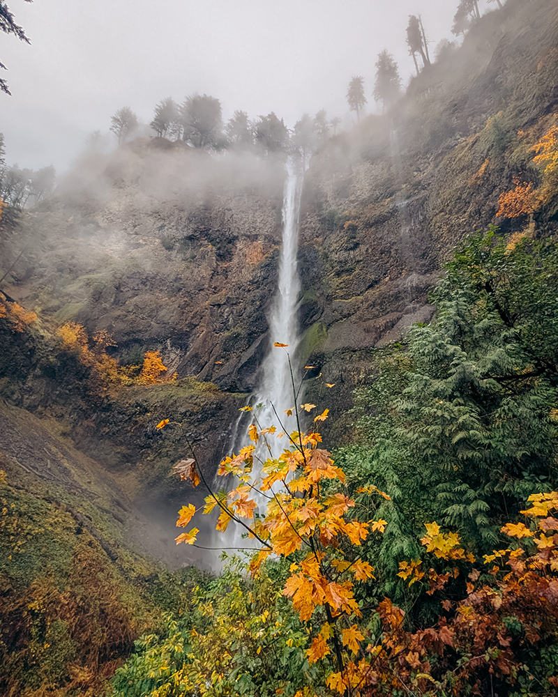 Multnomah Falls in the Columbia River Gorge, Oregon