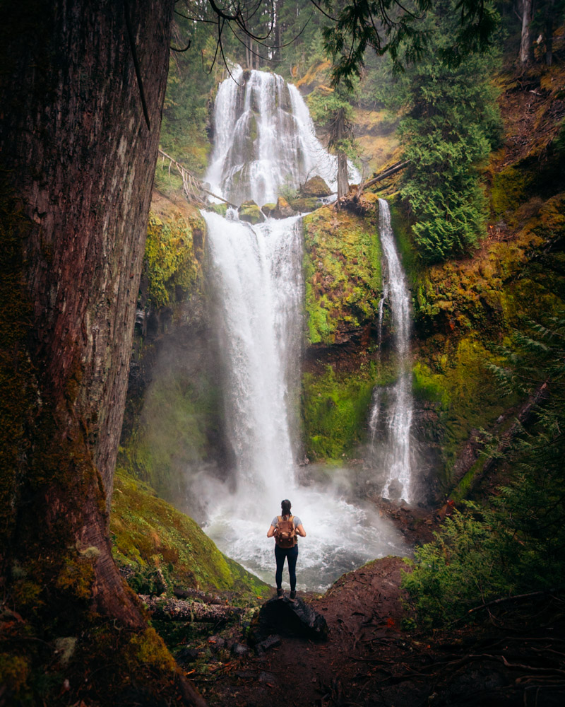 Falls Creek Falls waterfall hike in Washington near the Columbia River Gorge